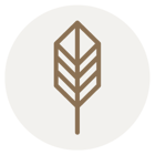 Ubicación Ubicación